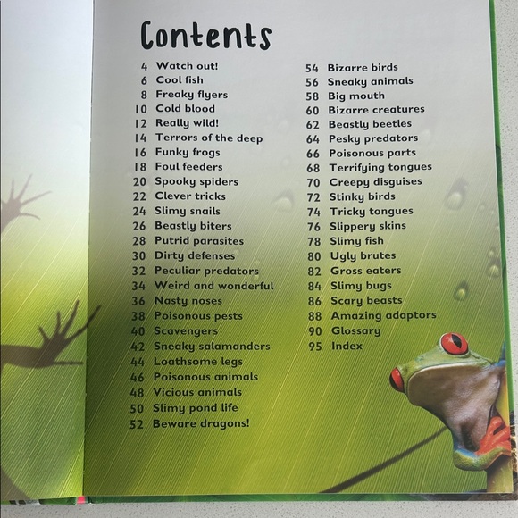 Wild Animals Book with Colorful Cover - Picture 3 of 5